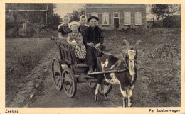 PAYS BAS - ZEELAND - Per Bokkenwagen - Carte Postale Ancienne - Autres & Non Classés