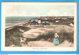 Domburg Panorama Kleur RY49770 - Domburg