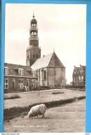 Hindeloopen Schaap Voor Ned Hervormde Kerk RY50228 - Hindeloopen