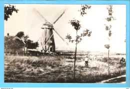 Hengelo Oldenzaalsestr Molen Repro / Foto ML1093 - Hengelo (Ov)