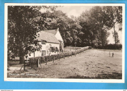 Heerlen De Olie Molen 1951 RY51917 - Heerlen