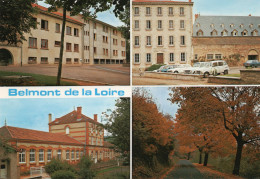 42,LOIRE,BELMONT DE LA LOIRE - Belmont De La Loire