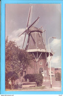 Delfzijl Op De Molenberg Molen Adam Foto ML859 - Delfzijl