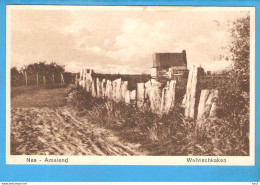 Ameland Nes Walvischkaken RY49834 - Ameland