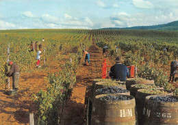 Tracteur Vendanges Arbois - Tractors