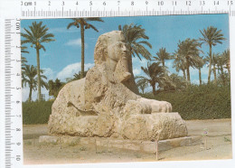 Giza - The Sphinx Of Sakkara - Sfinge