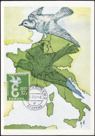 Sarre - Saarland CM 1958 Y&T N°421 - Michel N°MK439 - 12f EUROPA - Maximumkarten