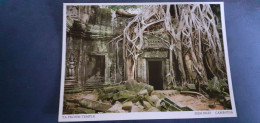 Cambodia Ta Prohm Yemple Siem Reap - Cambodge