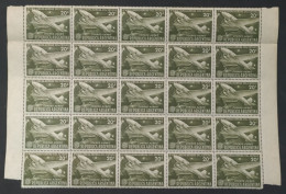 Fragmento Plancha De 25 Estampillas Argentinas Con Complemento “Correo Aéreo” – Valor: 20 Centavos – Año: 1951 – Sin Uso - Hojas Bloque