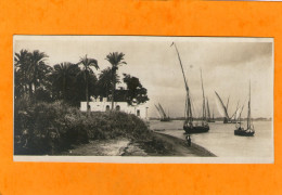 Carte-Photo - EGYPT - On The Banks Of The Nile - EGYPTE - Au Bord Du Nil - - Te Identificeren