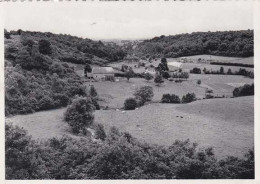 Thuin - Vue Vers Le Haut Marteau - Circulé En 1955 - TBE - Thuin