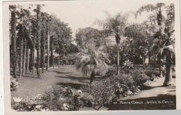 *** MONACO  ***  MONTE CARLO  Les Jardins Du Casino - Neuve TTB  - Terrassen