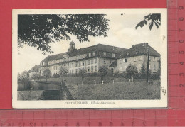 57  CHATEAU SALINS : L'Ecole D'Agriculture - Chateau Salins