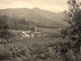 Volpajola * 1935 * Pont Sur Le Golo à La Barchetta * Haute Corse 2B * Photo Ancienne 9.8x7.6cm - Autres & Non Classés