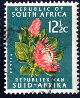 RSA - South Africa - Suid-Afrika  - C18/8 - 1964 - (°)used - Michel 335 - Protea - Used Stamps
