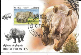 Rhinoceros 2018 Ceratotherium Simum - Angola