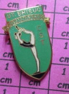 1115A Pin's Pins / Beau Et Rare / SPORTS / GYMNASTIQUE FEMININE CLUB CST ST BRIEUC BRETAGNE - Ginnastica