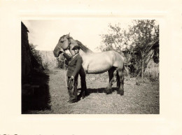 Maillezais * 1956 * Homme Du Village Et Son Cheval * écurie Haras Ferme Agriculture * Photo Ancienne 10.8x8cm - Maillezais