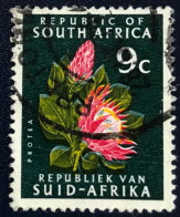 RSA - South Africa - Suid-Afrika - C18/8 - 1971 - (°)used - Michel 408 - Protea - Usati