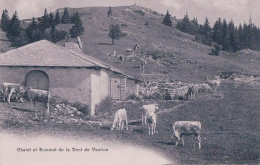 Vallée De Joux, Troupeau, Chalet Et Sommet De La Dent De Vaulion (876) - Vaulion