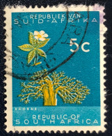 RSA - South Africa - Suid-Afrika - C18/9 - 1961 - (°)used - Michel 293 - Baobab - Usati
