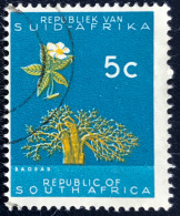 RSA - South Africa - Suid-Afrika - C18/9 - 1961 - (°)used - Michel 293 - Baobab - Gebraucht