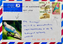 SOUTH AFRICA  2002, ILLUSTRATE BIRD COVER,  USED TO INDIA, 3 STAMP BIRD & ANIMAL,  PRETORIA CITY SLOGAN CANCEL. - Briefe U. Dokumente