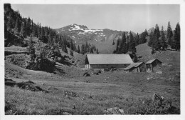 Flumserberg Molseralp - Berg