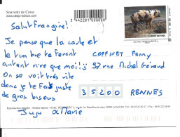 COCHON SAUVAGE - FRANCE - Sur Carte Postale CORSE - Storia Postale