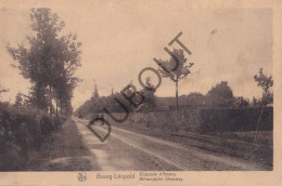 Postkaart/Carte Postale - Leopoldsburg - Antwerpsche Steenweg (C4690) - Leopoldsburg