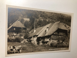 Germany Deutschland Gutach Gutachtal Schwarzwald Wald Bayern Bavaria Haus House Cow Kuh 16831 Post Card POSTCARD - Gutach (Schwarzwaldbahn)