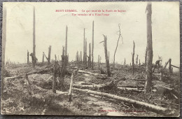 Mont-Kemmel / 1920 - Ce Qui Reste De La Foret De Sapins - Heuvelland