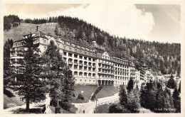 AUTRICHE - Semmering - Hotel Panhans - Carte Postale Ancienne - Semmering