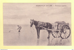 Noordwijk Aan Zee Schelpenvisser 1932  RY19545 - Noordwijk (aan Zee)