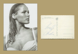 Ursula Andress - Swiss Actress - James Bond - Rare Authentic Signed Card + Photo - Acteurs & Toneelspelers