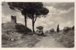 ITALIE - Roma - Sulla Vie Appia Antica - Carte Postale Ancienne - Andere & Zonder Classificatie