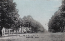 Michigan Hillsdale Beautiful Broad Street 1909 - Grand Rapids