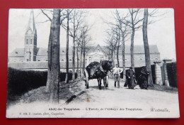 WESTMALLE  -  Abdij Der Trappisten  - Ingangpoort  - L'Entrée De L'Abbaye Des Trappistes - Malle