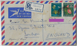 South Africa 1966 Brazilian Legation registered Airmail Cover Cape Town - London Great Britain Stamp Flower Baoba Protea - Storia Postale