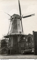 Winschoten Trekweg Molen 2963 - Winschoten