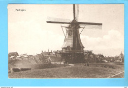 Harlingen Molen M318 - Harlingen