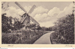 Schoorl Molenweg Molen RY15706 - Schoorl