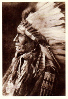 Delcampe - USA : American Horse (Oglala) Par Edward Curtis - Indianer