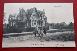 WESTMALLE  -  " Villa Scherpenberg "  - - Malle