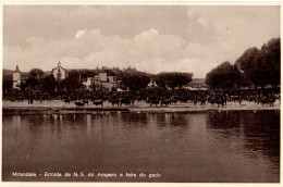 MIRANDELA - Ermida De N. S. Do Amparo E Feira De Gado - PORTUGAL - Bragança