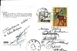 2 Stamps  CESKOSLOVENSKO - PRAHA Postcard 1967 - Thématique Animaux CERF - Cartas & Documentos