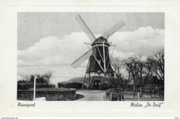 Nunspeet Molen De Duif 4859 - Nunspeet