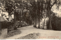 Appingedam Noordersingel Rijtuig Op De Opri AM4598 - Appingedam