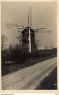 Schoorl  Molen 4663 - Schoorl