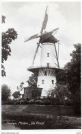 Tholen Molen De Hoop 4686 - Tholen